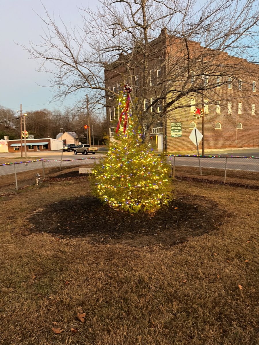 2023_Christmas Tree_Harmon Park